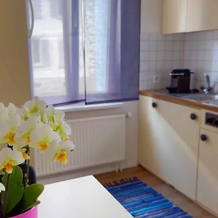 Appartement Grandhouse Center Of Switzerland à Olten Extérieur photo