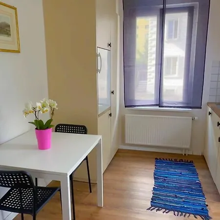 Appartement Grandhouse Center Of Switzerland à Olten Extérieur photo