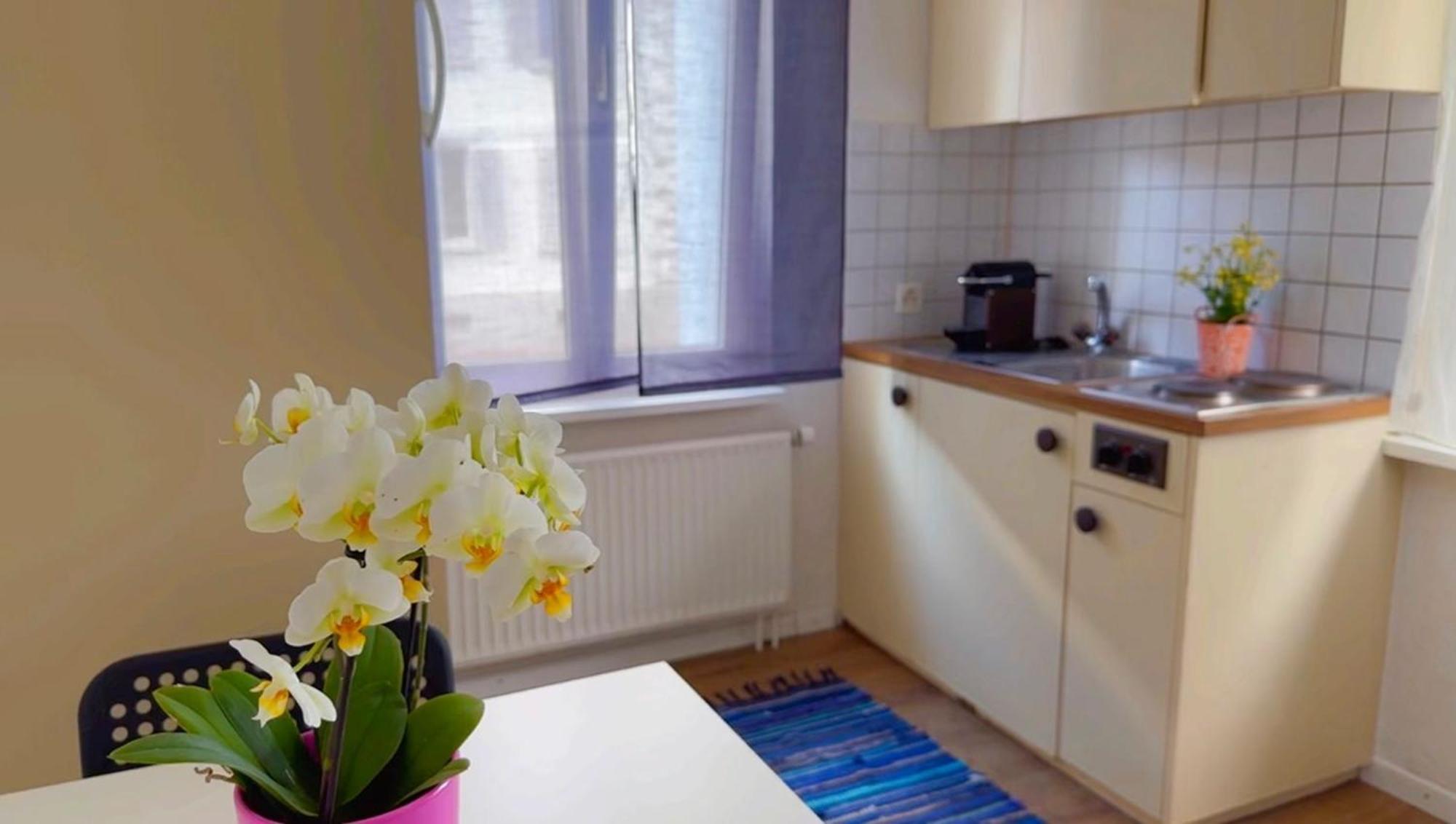 Grandhouse Center Of Switzerland Olten