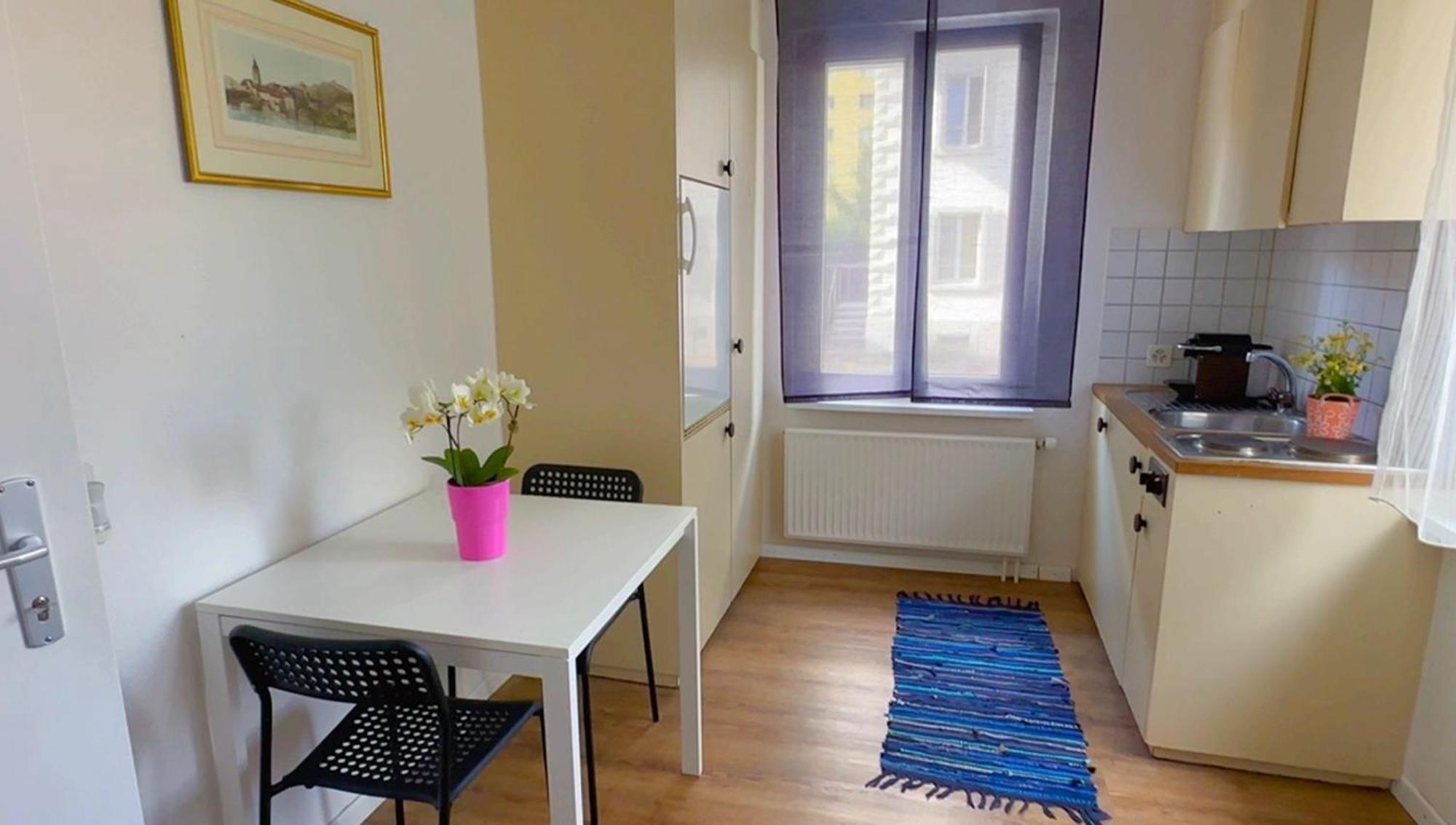 Apartment Grandhouse Center Of Switzerland *